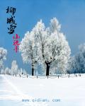 柳城雪