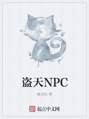 盗天NPC