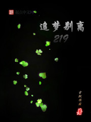 追梦别离219