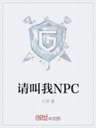 请叫我NPC